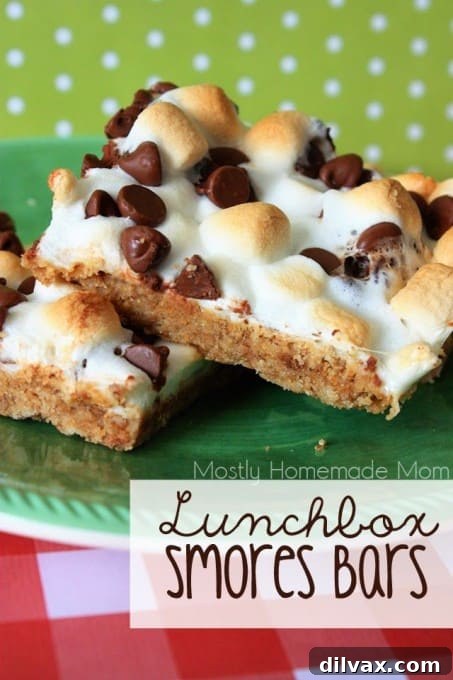 More Than 25 Creative Back to School Lunch Ideas 17 Chewy S'mores bars with graham cracker, chocolate, and marshmallow, perfect for a sweet lunchbox treat.