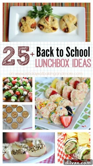 Fun and Healthy School Lunchbox Recipes