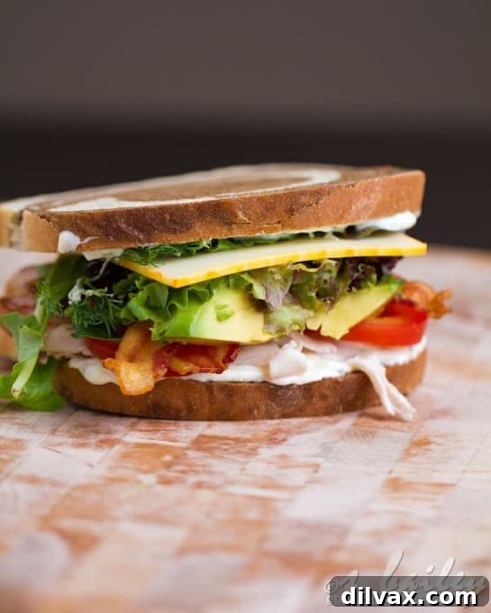 More Than 25 Creative Back to School Lunch Ideas 23 A gourmet turkey club sandwich with creamy rosemary spread, layered with fresh ingredients.