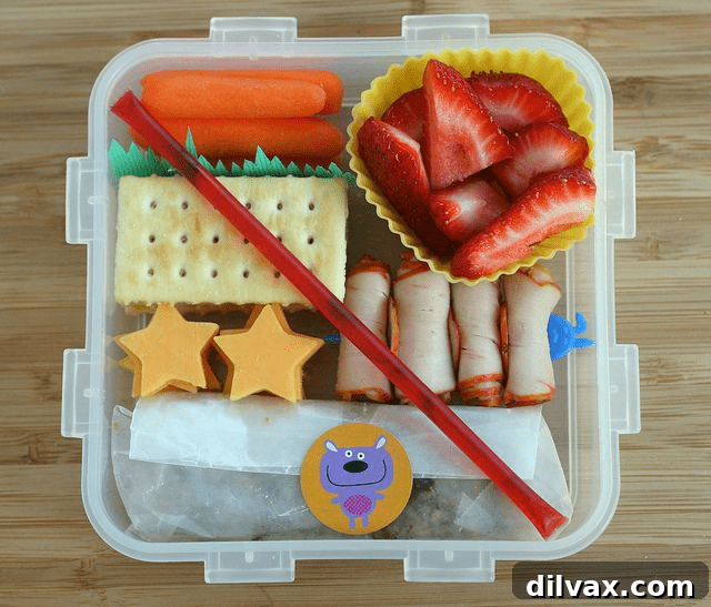 More Than 25 Creative Back to School Lunch Ideas 31 A colorful and well-organized bento box with various healthy components, offering a 'better than Lunchables' experience.
