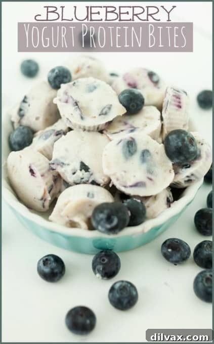 More Than 25 Creative Back to School Lunch Ideas 7 Small, round blueberry yogurt protein bites, perfect for a healthy and energizing snack.