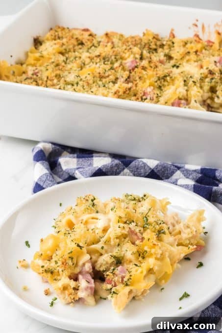 Noodles, chicken, ham and Swiss cheese make this an easy casserole dinner.