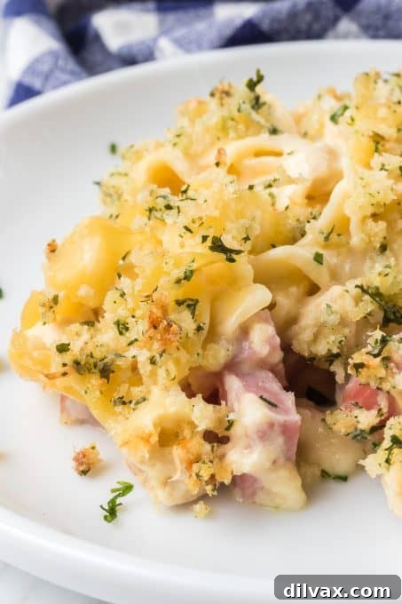 A ham and chicken casserole with lots of cheese.