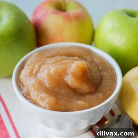 Delicious baked applesauce in a white bowl, garnished with a cinnamon stick, illustrating its homemade appeal.