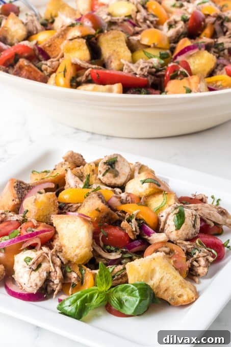 Rustic Chicken Panzanella 11 A beautifully presented bowl of Chicken Panzanella, showcasing its fresh and wholesome ingredients.