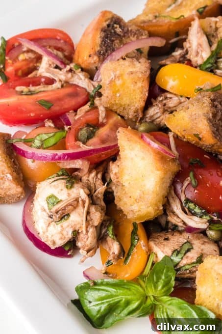 Rustic Chicken Panzanella 12 A bowl of Chicken Panzanella served with a rustic Italian aesthetic.