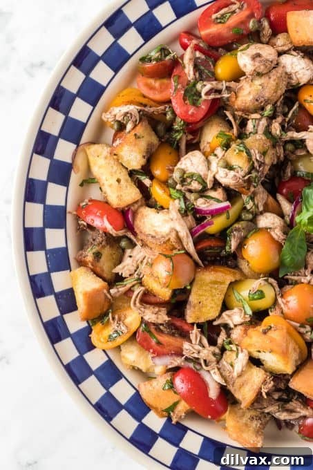 Rustic Chicken Panzanella 3 Close-up of fresh Chicken Panzanella, highlighting the texture of the toasted bread.