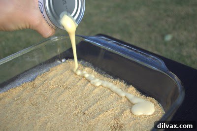 Graham cracker crumbs pressed into melted butter.