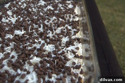 Chocolate chips sprinkled over the coconut layer.