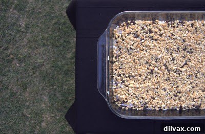 Chopped salted peanuts spread over the chocolate chips.