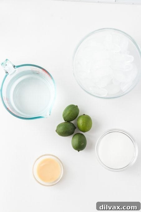 Velvet Lemonade 4 Ingredients for Brazilian Lemonade - A flat lay of fresh limes, condensed milk, and sugar.