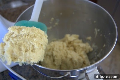 Cookie dough after combining wet and dry ingredients.