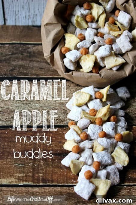 Autumn Apple Magic: 25 Recipes for Sweet and Savory Treats 13 Sweet and crunchy Caramel Apple Muddy Buddies snack mix