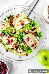 Autumn Apple Magic: 25 Recipes for Sweet and Savory Treats 16 Fresh and vibrant Apple Walnut Cranberry Salad with a light dressing