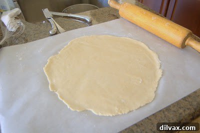 Pie crust in a pie plate, ready for filling
