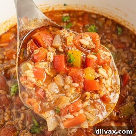 Unstuffed Pepper Soup 11 A ladleful of bell pepper soup.