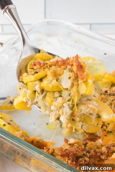 Golden Squash Bake 11 A spoonful of a casserole made of yellow squash, showcasing its creamy texture and golden topping.