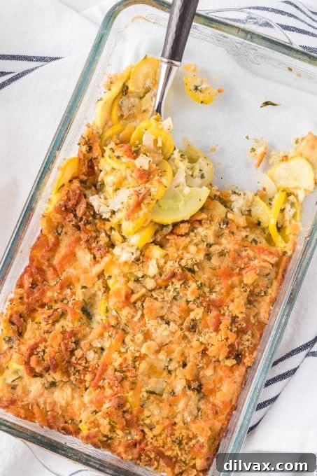 Golden Squash Bake 9 A summer squash side dish casserole, golden brown and bubbly, in a white baking dish.