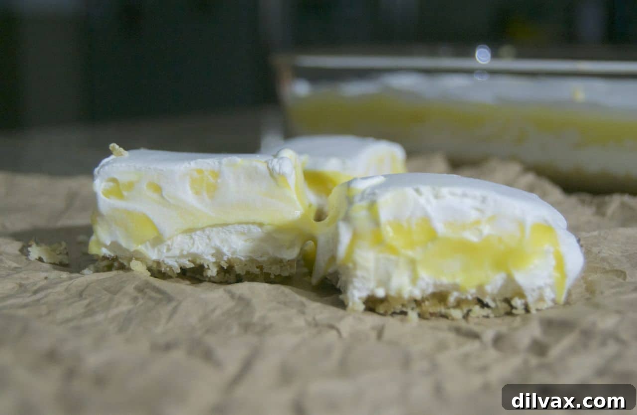 The Best Lemon Bars - just the right amount of tangy and sweet! A perfect treat to cool you off on a hot summer day!