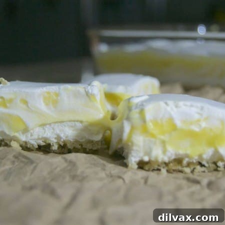 The Best Lemon Squares, perfectly sliced to show the delectable layers.