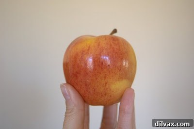 A huge, vibrant red Honeycrisp apple sitting on a kitchen counter, highlighting its impressive size.