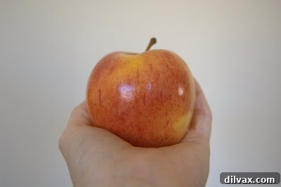 Another angle of the massive Honeycrisp apple, emphasizing its roundness and smooth skin.