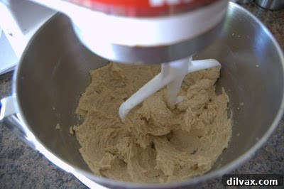 Decadent Spiced Cream Cookies 3 Mixing dry ingredients for spiced molasses cookies