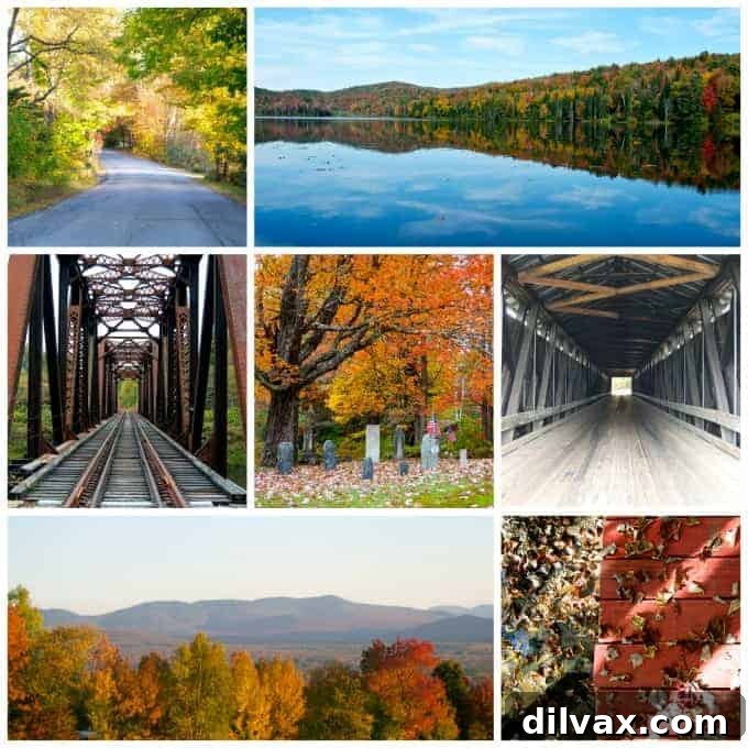 Vibrant New Hampshire fall foliage collage, showcasing diverse autumn scenes and colors