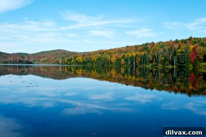 Close-up of fall colors reflected on the calm surface of Streeter Pond, Sugar Hill, NH