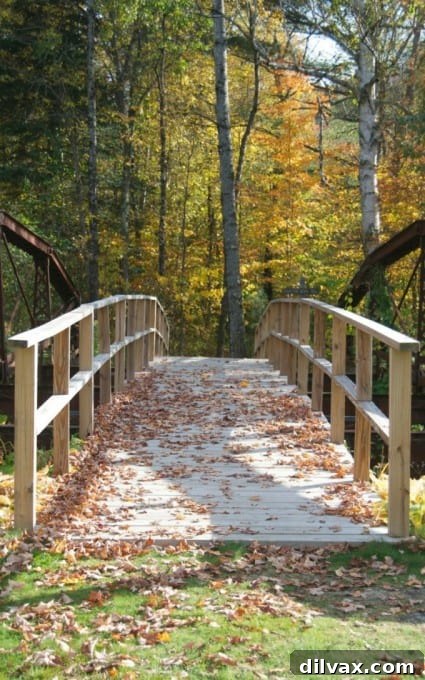 Hiking trail through a vibrant autumn forest in New Hampshire