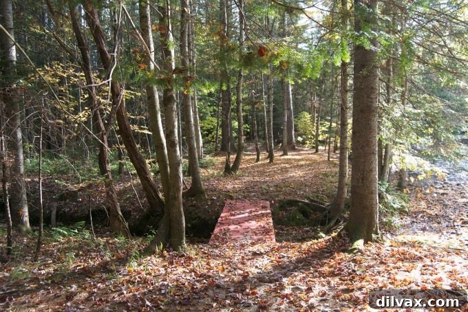 Quaint New England village nestled amidst rolling hills of fall foliage