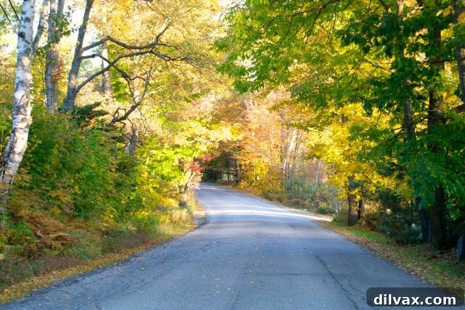 Panoramic view of vibrant fall foliage in New Hampshire during autumn 2014