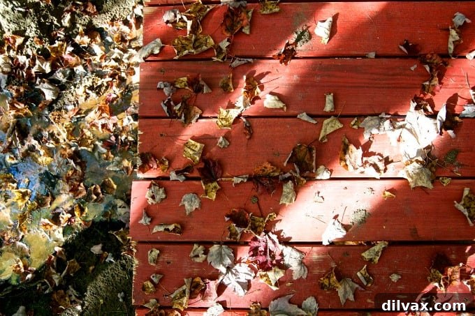 Scenic overlook in New Hampshire showcasing expansive fall foliage vistas