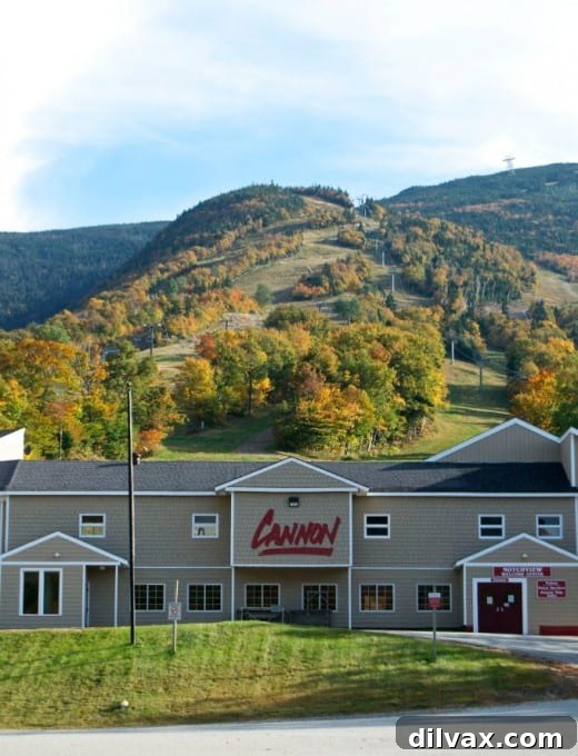 Cannon Mountain Ski Resort in Franconia, NH, surrounded by vibrant fall colors