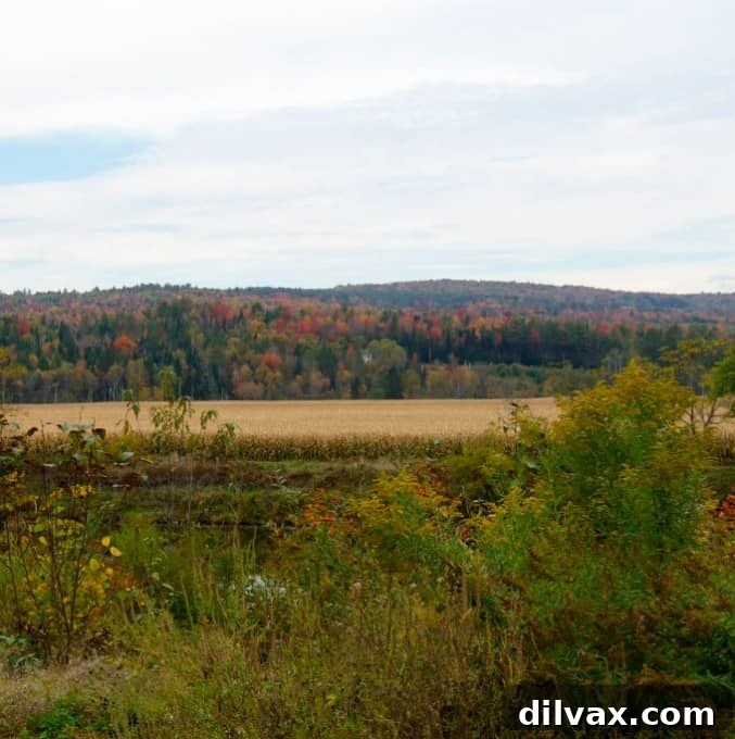 Rolling hills covered in a mosaic of fall colors in New Hampshire
