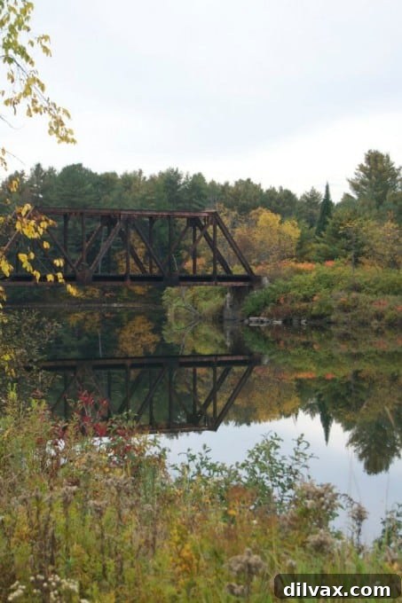 Close-up of the Connecticut River reflecting vibrant fall colors from its banks in New Hampshire
