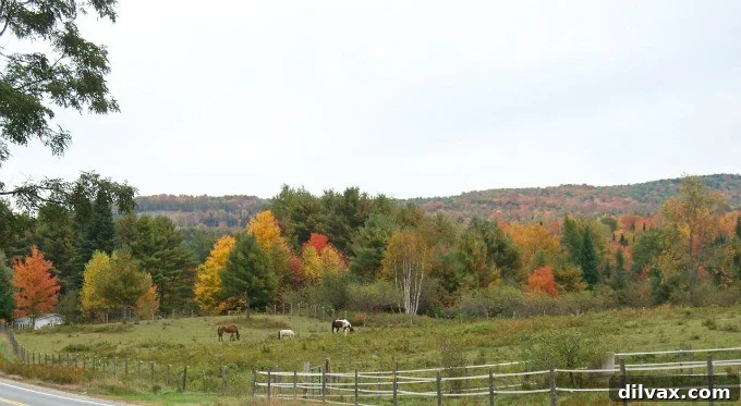 Expansive view of a valley filled with New Hampshire fall foliage