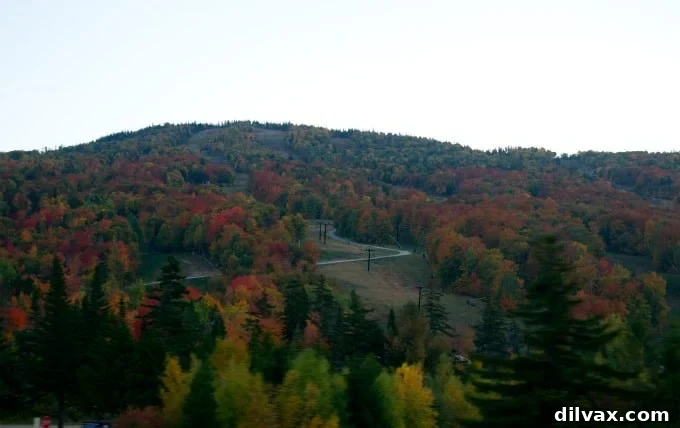 The historic Mount Washington Hotel surrounded by spectacular fall foliage in Bretton Woods, NH
