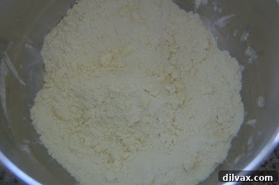 Cheese Cornmeal Biscuits 3 Flour mixture with cut-in butter resembling coarse meal