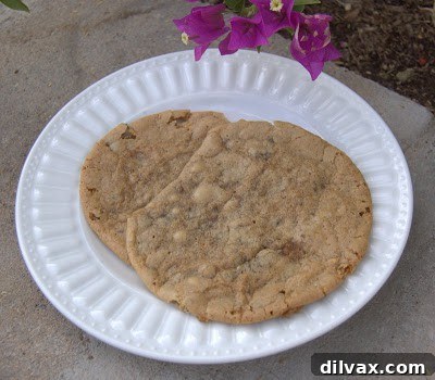 A close-up of a warm, freshly baked Junior Mint cookie, showcasing its soft texture and melted mint centers.