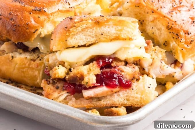 Sweet and Tangy Turkey Sliders 2 Delicious Turkey Sliders with Cranberry Sauce, perfect for utilizing Thanksgiving leftovers.