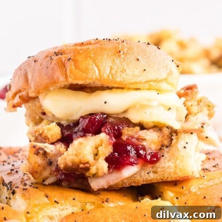 Turkey Sliders with Cranberry Sauce.