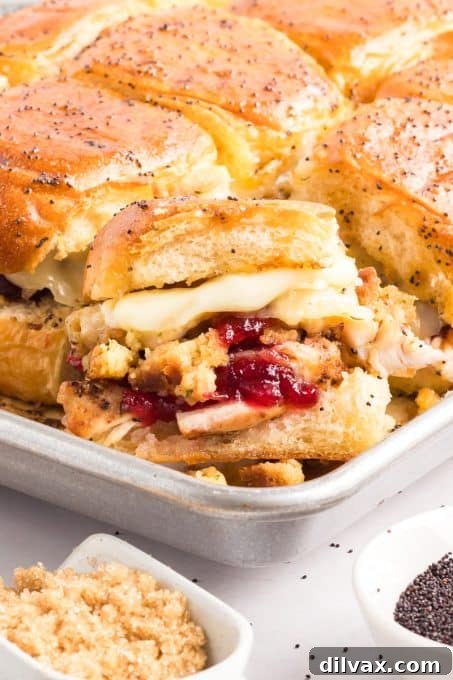 Sweet and Tangy Turkey Sliders 3 Close-up of Turkey Sliders with stuffing, cranberry sauce, turkey, and melted cheese.