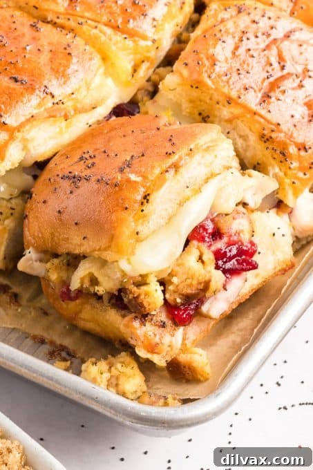 Sweet and Tangy Turkey Sliders 5 Assembled Turkey Cranberry Sliders before baking.