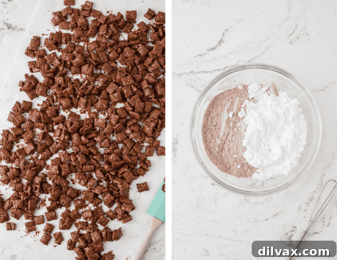 Festive Reindeer Fuel 6 Second set of process photos for Reindeer Chow.