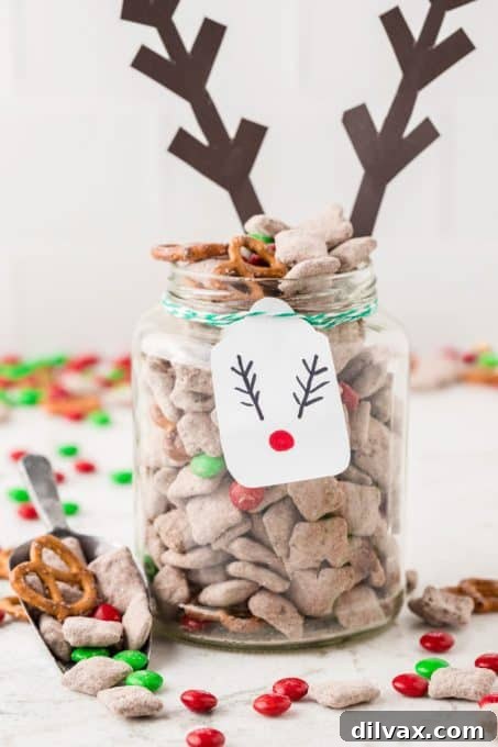 Festive Reindeer Fuel 8 Christmas Puppy Chow perfect for gift giving.