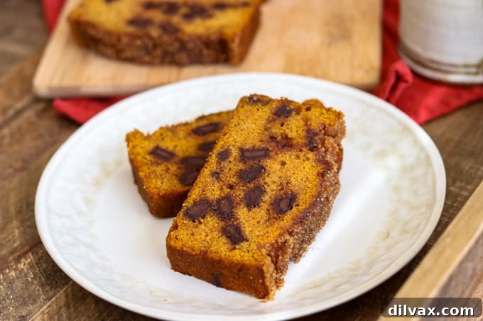 Slices of Chocolate Chunk Pumpkin Bread on a plate. Slices of Chocolate Chunk Pumpkin Bread on a plate, adorned with a cinnamon sugar topping.