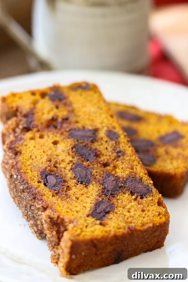 Chocolate Chunks in Pumpkin Bread. Close-up view of Chocolate Chunks perfectly suspended within a slice of Pumpkin Bread, highlighting the delicious texture.