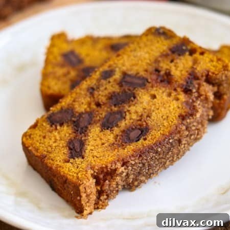 Harvest Pumpkin Chocolate Chunk Loaf 3 Two slices of Chocolate Chunk Pumpkin Bread with cinnamon sugar topping on a plate.