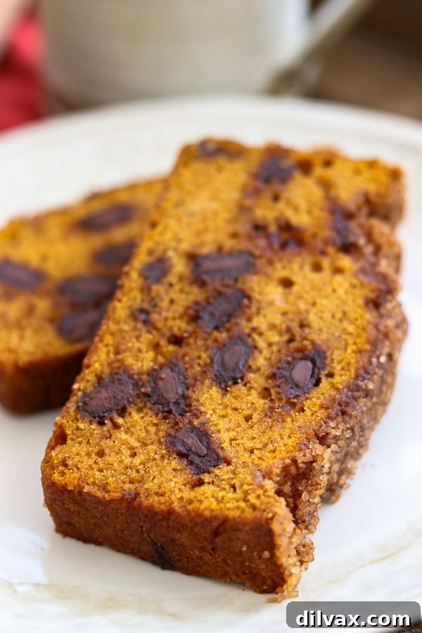 Harvest Pumpkin Chocolate Chunk Loaf 4 A whole Chocolate Chunk Pumpkin Bread loaf on a plate, showcasing its golden crust and inviting appearance.